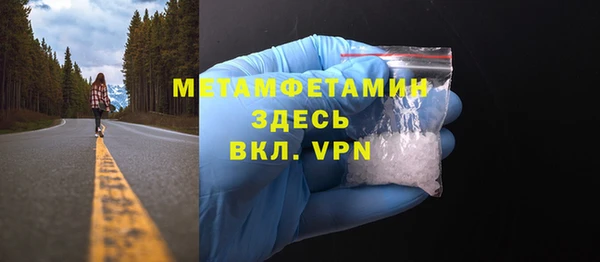 трава Белокуриха