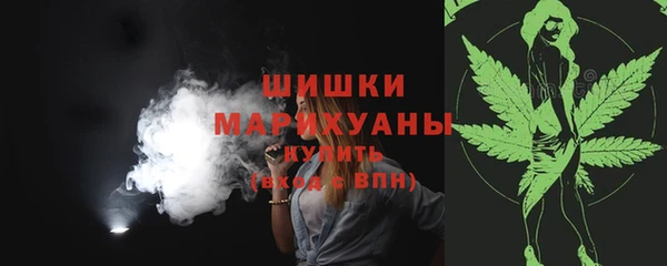 трава Белокуриха