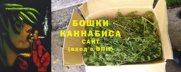трава Белокуриха