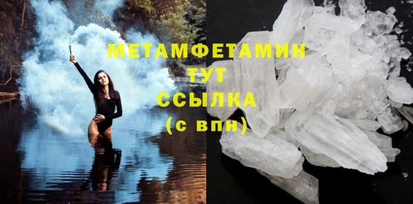 трава Белокуриха