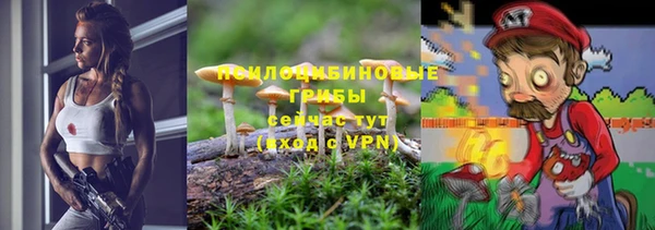 трава Белокуриха
